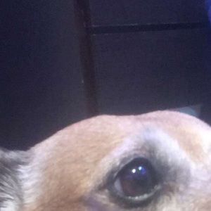 Meet your Posher, Jay